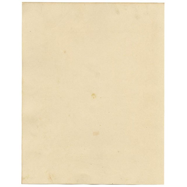 Michela De Vito, Costume of Procida, Province of Naples, 1800s, Watercolour For Sale - Image 6 of 7