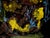 Paper Coral Bouquet - Abstracted Underwater Scene in Acrylic on Masonite For Sale - Image 7 of 9