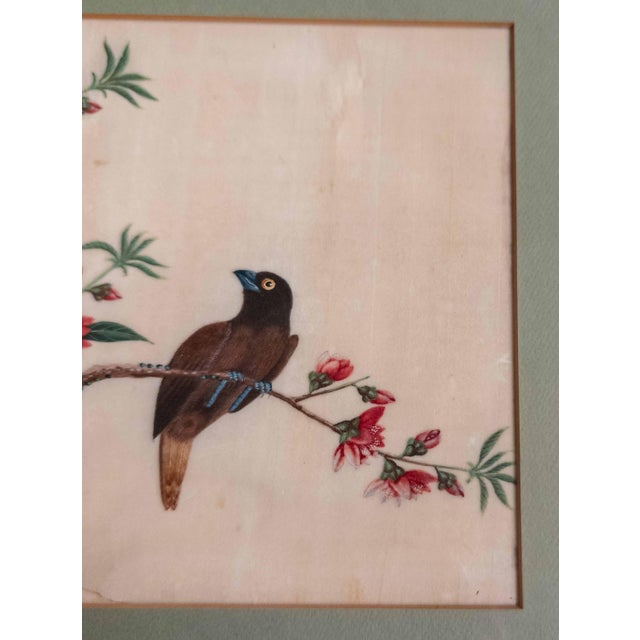19th or 20th Century Chinese Watercolor Pith Paper Painting of Birds Arguing For Sale - Image 10 of 16
