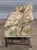 Wood Late 20th Century Kittinger Historic Newport Mahogany Sofa With Bergamo Upholstery Gilted Age Ri For Sale - Image 7 of 8