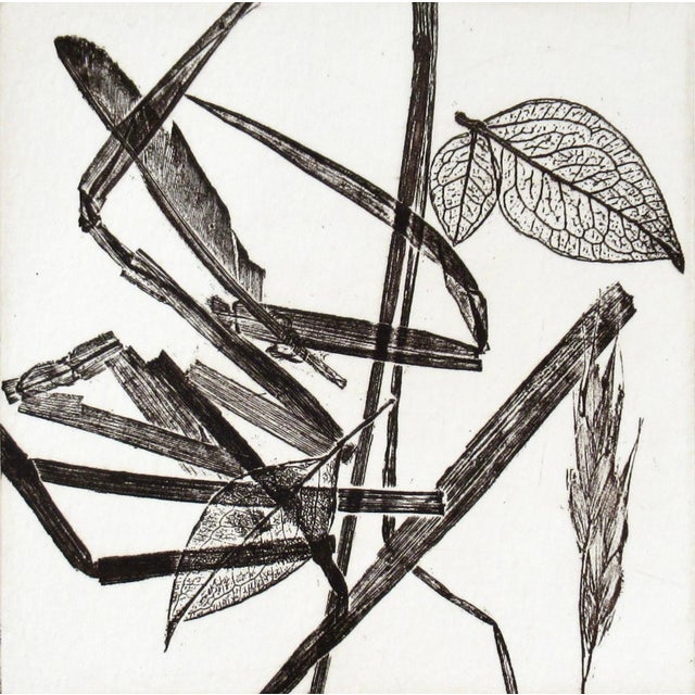 This artwork "Leafs" c.1980, is an original etching on Wove paper by noted American artist Charles Eckart, b.1935. It is...