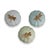 English Dragonfly Scallop Round Boxes, Set of 3 For Sale - Image 3 of 6