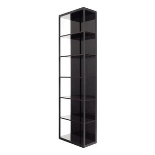 Stunning Christian Liaigre “Editeur” Shelf, 2010s For Sale
