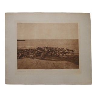 Edward S. Curtis "Reindeer - Nunivak" 1930 Vintage Photogravure, Cardozo Collection For Sale