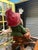 Folk Art Late 20th Century Gnome Gathering Flowers Looking Up Garden Weathered Elf Fairy For Sale - Image 3 of 4
