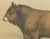 Borie, Parthenais Bull, French Cattle Breed, 1863, Chromolithograph For Sale - Image 4 of 9