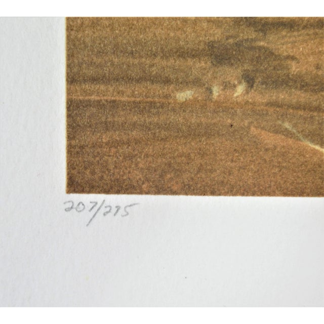 Late 20th Century Audean Johnson, Still Life #2, 1989 For Sale - Image 5 of 6