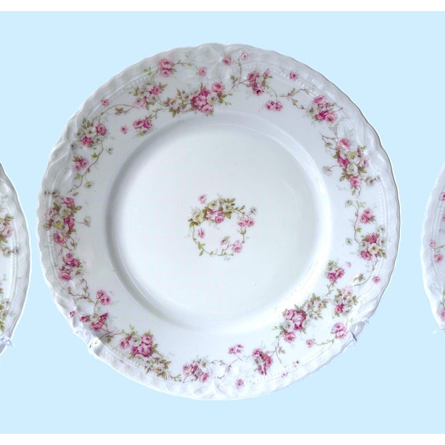 Ceramic Antique Haviland Limoges Plates, Set of 3 For Sale - Image 7 of 10