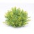 Kenneth Ludwig Chicago Varigated Mini Leaf Half Orb (Set of 6) For Sale - Image 4 of 5
