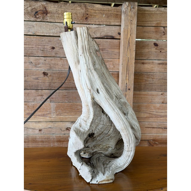 Monumental Sculptural Driftwood Table Lamp, Organic Modern Coastal Decor For Sale In Naples, FL - Image 6 of 12