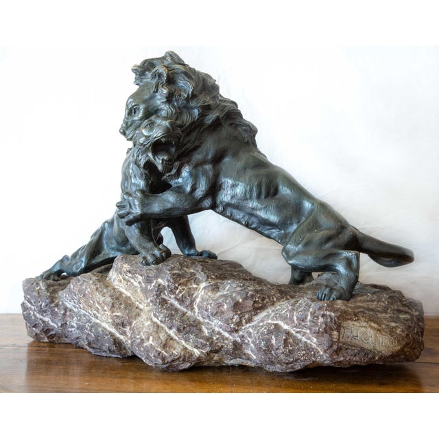 A. Fagotto (19th-20th century) couple of lions, 20th century important bronze sculpture resting on a gray stone base,...