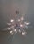 Murano Italian Murano Glass Sputnik Chandelier For Sale - Image 4 of 11