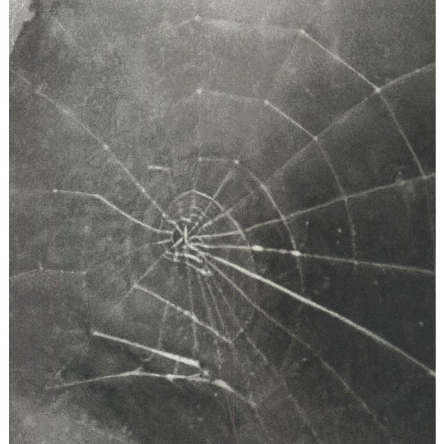 Contemporary Vija Celmins Spider Web, 2009 - Signed For Sale - Image 3 of 4