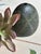 Dark Gray Stone Bud Vase Pacific Northwest Artisan Hand-Carved Volcanic Rock For Sale - Image 8 of 12
