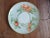 Haviland & Co. Antique Hand Painted Porcelain Plate For Sale - Image 4 of 7