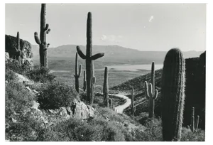 Erich Andres, Mojave Desert, California, USA, 1960s, Silver Gelatin Print