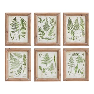Assorted Frond Study Petite, Set Of 6 For Sale