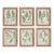 Assorted Frond Study Petite, Set Of 6 For Sale