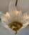 1990s Myran Allan Luxury Lighting Vintage Italian Satin Glass and Gold Semi Flush Mount/Chandelier For Sale - Image 5 of 7