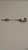 Gorham Silver Co. Antique Gorham "Narragansett" Sterling Silver Figural Crab Spoon For Sale - Image 4 of 8