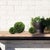 Farmhouse Boxwood Ball 8" For Sale - Image 3 of 6