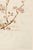 Red 19th Century Sun and Plum Branches Japanese Botanical Fine Art Print by Shibata Zeshin — 16" X 24" For Sale - Image 8 of 9