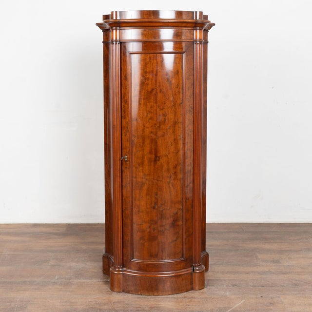 Biedermeier 19th Century Danish Mahogany Narrow Column Cabinet For Sale - Image 3 of 11