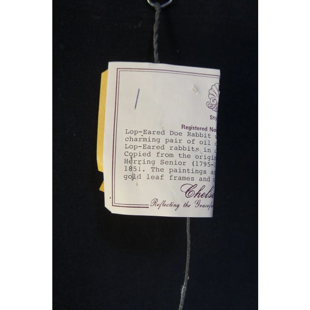 Chelsea House Lop Eared Doe Rabbit Oil Painting After John Frederick Herring Sr For Sale - Image 9 of 12