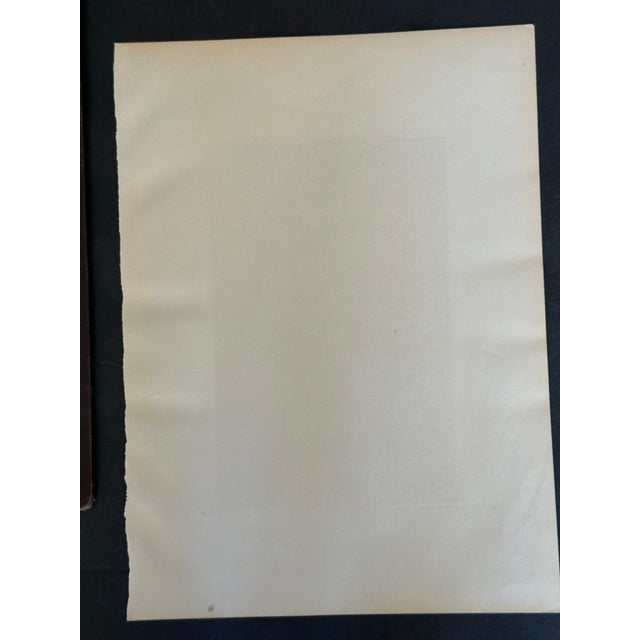 Antique Prang Chromolithograph Print, Bull Frogs in Pond For Sale - Image 11 of 12