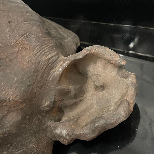 Bonobo Monkey Head Sculpture in Terracotta, 2019 For Sale - Image 13 of 18