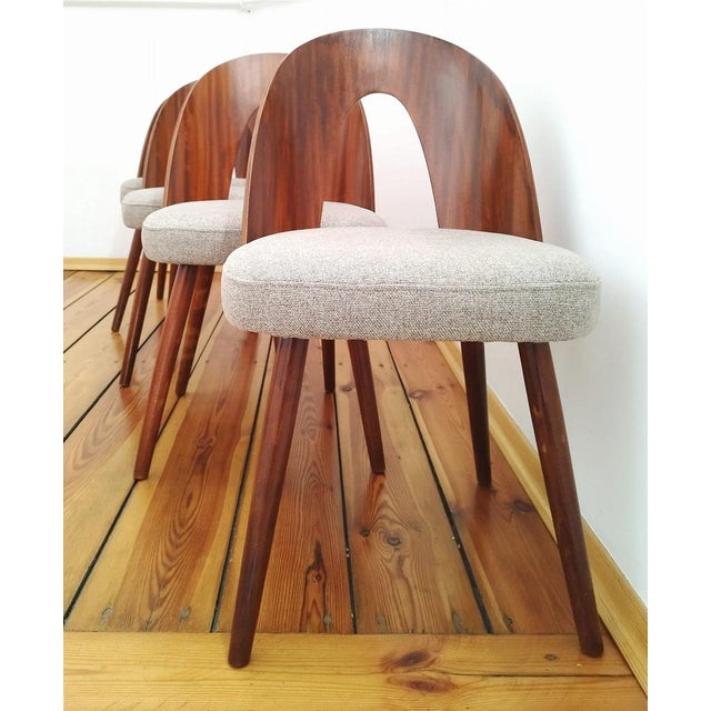 Dining Chairs by A. Suman for Tatra Nabytok, Former Czechoslovakia, 1960s, Set of 4 For Sale - Image 18 of 18