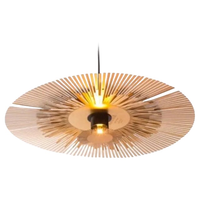 Lafayette Brass Hanging Light by Radar For Sale