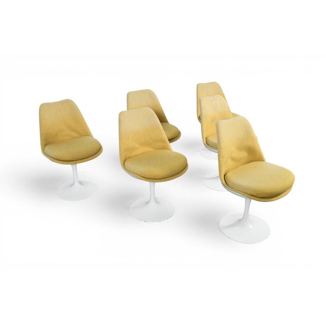 Mid 20th Century Set of Six Eero Saarinen Tulip Dining Chairs For Sale In San Francisco - Image 6 of 9