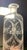 Antique engraved glass cologne bottle, engraved with flora swags all the way around and the word Cologne centered on the...