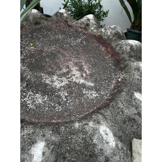Rustic Vintage Concrete Flower Petal Birdbath on Fluted Pedestal For Sale - Image 3 of 7