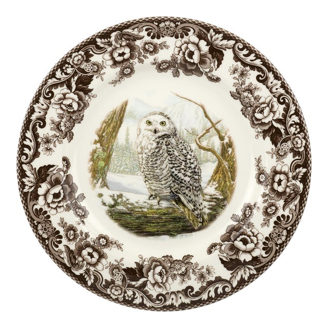 Spode Woodland Birds Of Prey Dinner Plate 10.5", Owl For Sale