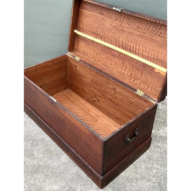 Vintage Cedar Lined Ships Trunk For Sale - Image 10 of 12