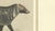 Antique Asian Civets & Kopi Luwak Natural History Engraving Bertuch, 1820 For Sale - Image 4 of 10