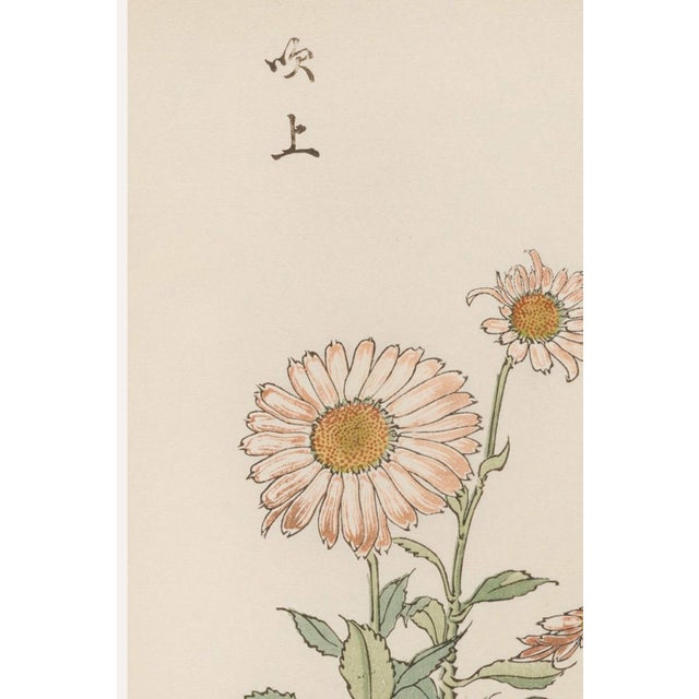 A refined example of late 19th-century Japanese botanical illustration, this vintage art print reproduction features Daisy...