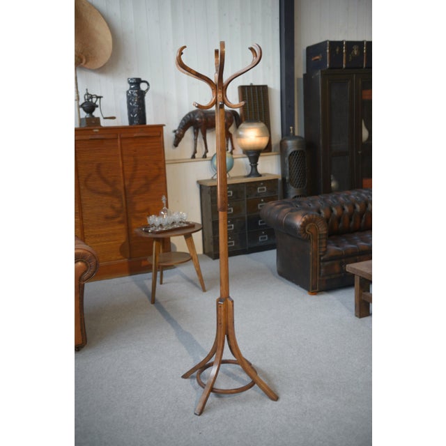 Vintage Parrot Coat Rack from Baumann, 1970s For Sale - Image 4 of 8