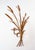 Italian Gilt Metal Wall Sconce with Leaves and Ears of Wheat, 1960s For Sale - Image 6 of 7