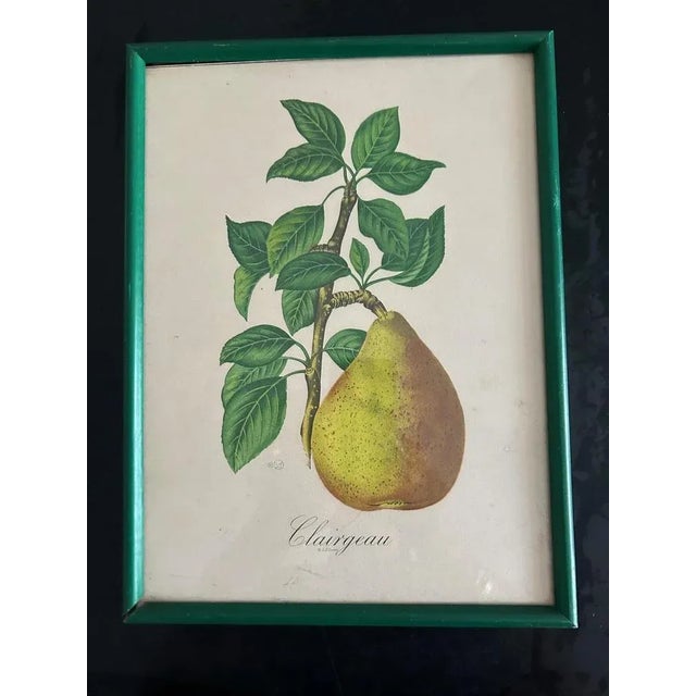 Signed lithographs by Sidney Zoltan Lucas from the 1950s. This piece has an attribution mark, I am sure that it is...