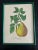 Signed lithographs by Sidney Zoltan Lucas from the 1950s. This piece has an attribution mark, I am sure that it is...