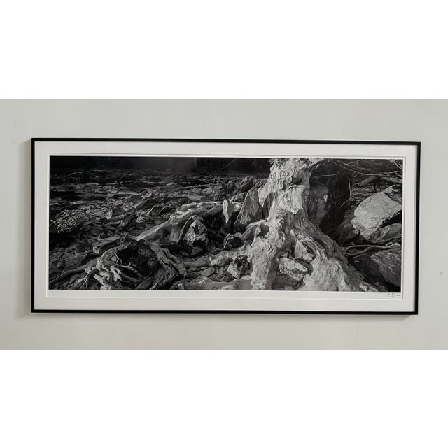 Contemporary Original Large Print Photograph by Durham, Nc Artist Elliot Blumberg For Sale - Image 3 of 11