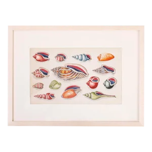 Antique Pith Painting of Sea Shells