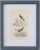 Wood Custom Framed Antique Bird Engravings - Set of Two For Sale - Image 7 of 12