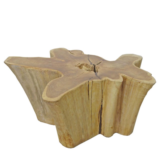 Wood Organic Modern Nature Wood Color Coffee Table For Sale - Image 7 of 7
