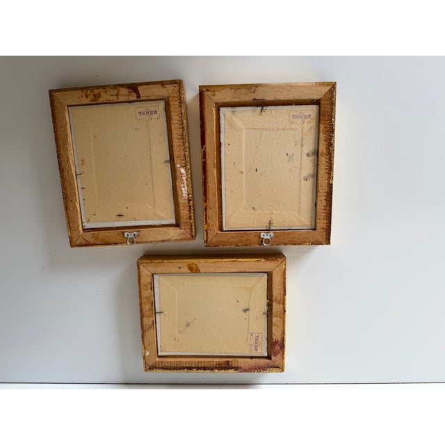 1980’s Vintage Still Life Oil on Masonite Paintings, Framed Set of 3 For Sale - Image 12 of 12