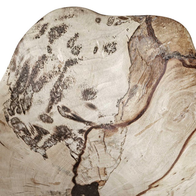 Teo Bleached Wood Wall Decor Set/3 For Sale - Image 9 of 9