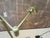 Rh Métier Task Floor Lamp Lacquered Burnished Brass | Adjustable Swing Arm | Dimmable Task Lighting For Sale - Image 9 of 18